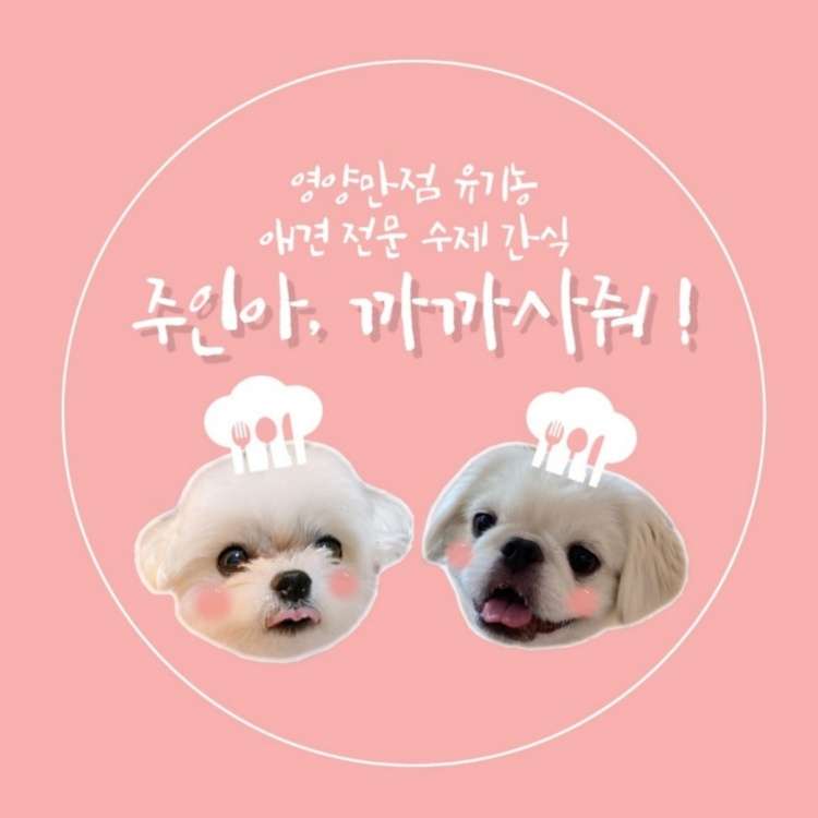 주인아 까까사줘