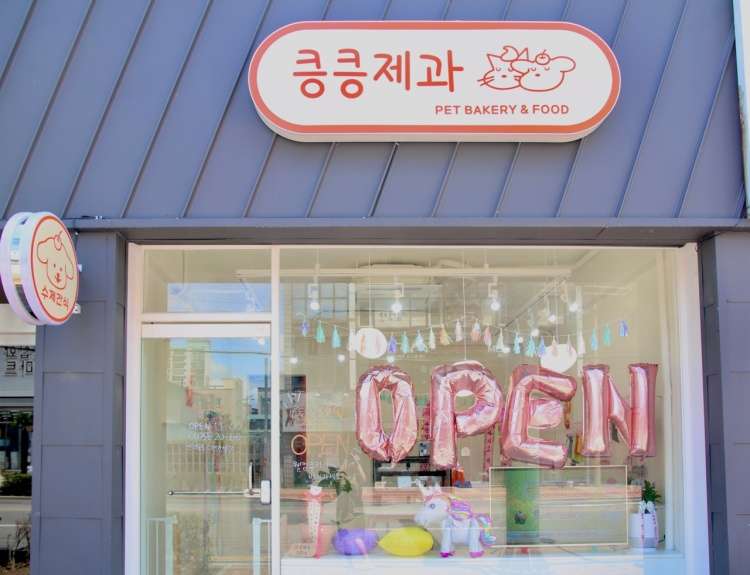 킁킁제과