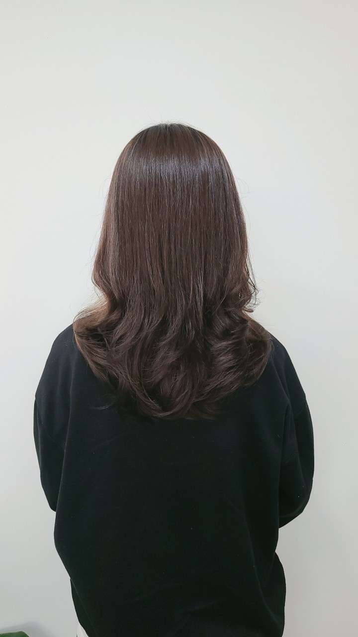 블리스헤어