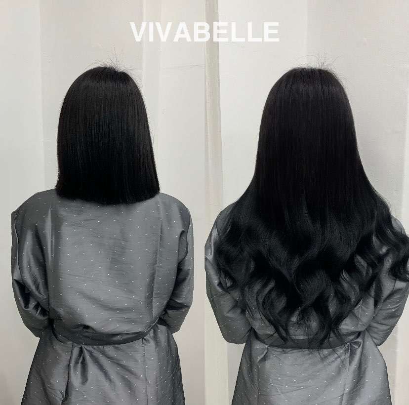 비바벨